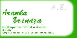 aranka brindza business card